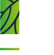 Acacia Design